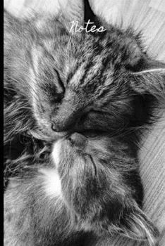 Paperback Notes: Lined Notebook Journal, 120 pages, A5 sized Book