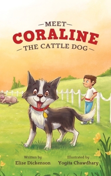 Meet Coraline the Cattle Dog