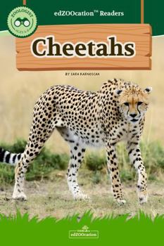 Cheetahs