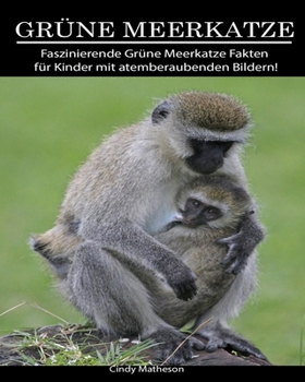 Gr�ne Meerkatze: Faszinierende Gr�ne Meerkatze Fakten f�r Kinder mit atemberaubenden Bildern!