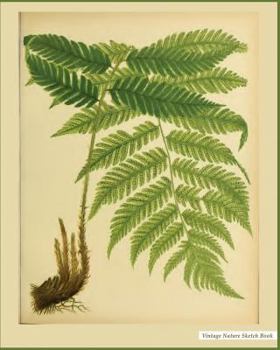 Vintage Nature Sketch Book: Vintage Nature Print (11), 8" x 10", Sketch Pad, For Drawing, Unlruled Drawing Paper Pad - [Professional Binding]