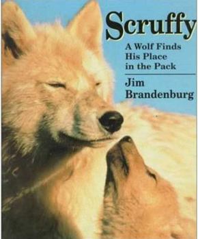 Library Binding Scruffy: A Wolf Finds His Place in the Pack Book