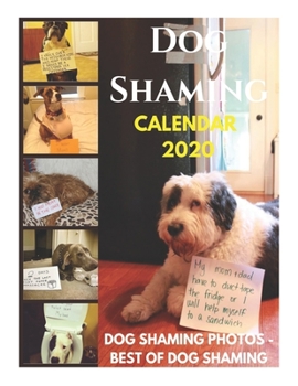 Paperback Dog Shaming 2020 Calendar - Dog Shaming Photos - Best of Dog Shaming: Dog Shaming 2020 Calendar, Dog Shaming 2020 Day-to-Day Calendar, Dog Shaming Des Book
