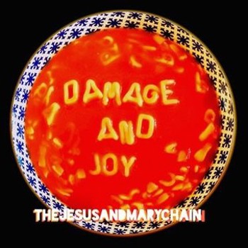 Music - CD Damage and Joy Book