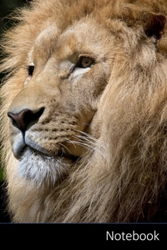 Paperback Notebook: ライオン、ワイルド、アフリカӌ Book