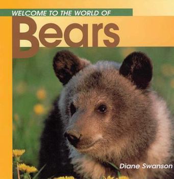 Paperback Welcome to the World of Bears Book