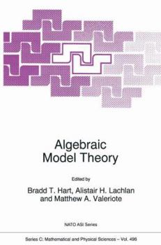 Hardcover Algebraic Model Theory Book