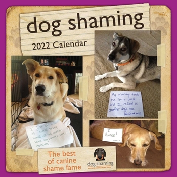 Calendar Dog Shaming 2022 Wall Calendar Book