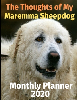 Paperback The Thoughts of My Maremma Sheepdog: Monthly Planner Book