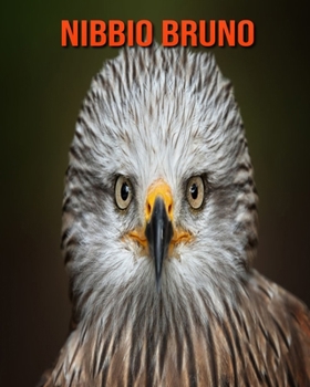 Nibbio bruno: Immagini bellissime e fatti interessanti Libro per bambini sui Nibbio bruno