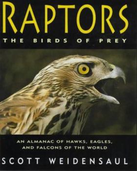 Raptors: the Birds of Prey: An Almanac of Hawks, Eagles and Falcons of the World