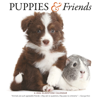 Misc. Puppies & Friends: 12x12 Wall Book