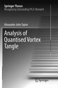 Paperback Analysis of Quantised Vortex Tangle Book