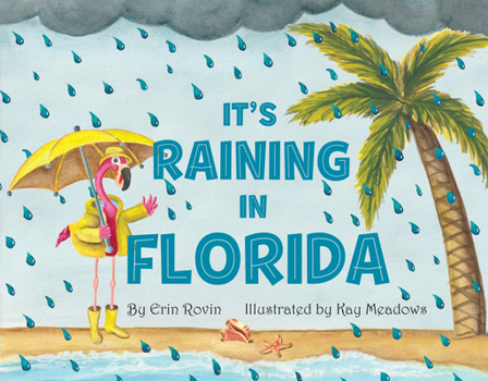 Board book It's Raining in Florida Book