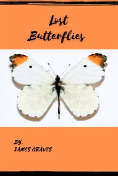 Paperback Lost Butterflies Book
