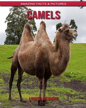 Camels: Amazing Facts & Pictures