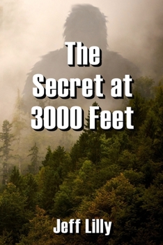 Paperback The Secret at 3000 Feet Book