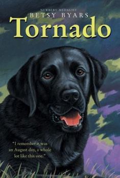 Paperback Tornado Book