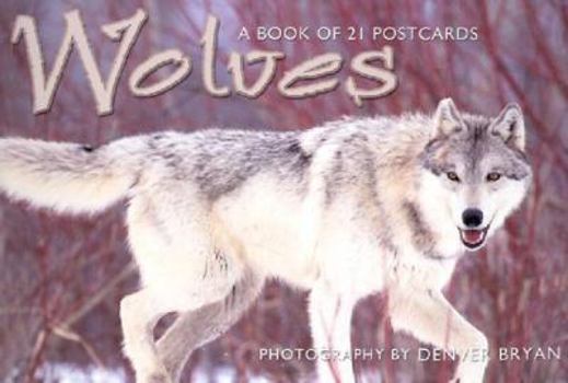 Paperback Wolves: Postcard Book