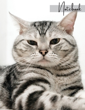 Notebook: Unlined - Plain Notebook - Blank Journal - 130 Pages - Large Format 8.5 x 11 in - Workbook - Composition - Cats - American Shorthair Cover Design - Made in The USA for USA orders
