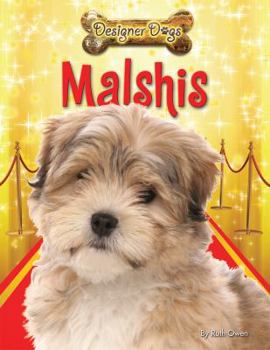 Paperback Malshis Book
