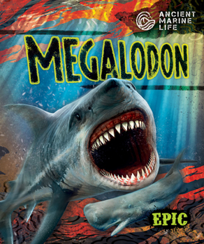 Paperback Megalodon Book