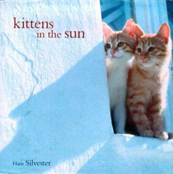Hardcover Kittens in the Sun Book