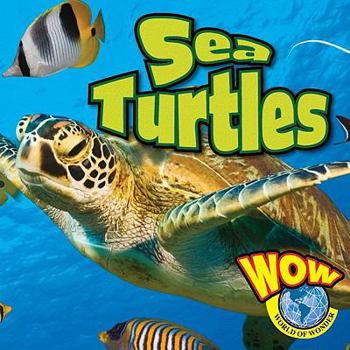 Hardcover Sea Turtles Book