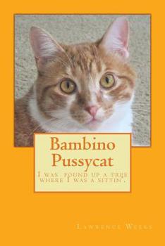 Paperback Bambino Pussycat Book