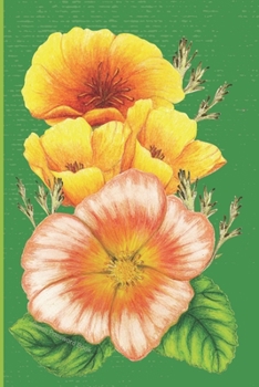 Paperback Green Password Book: Internet Password Organizer Log Book/ This password keeper is separated into Categories- Simple Design, Large Format, Book