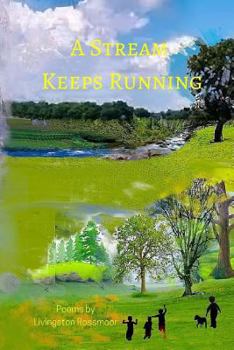 Paperback A Stream Keeps Running Book