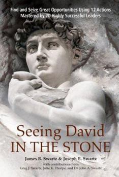 Hardcover Seeing David in the Stone: Find and Seize Great Opportunities Using 12 Actions Mastered by 70 Highly Successful Leaders Book