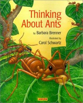 Paperback Thinking about Ants Book