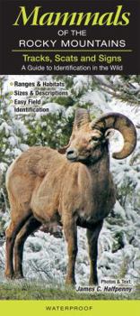 Pamphlet Mammals of the Rocky Mountains: Tracks, Scats and Signsa Guide to Identification in the Wild Book