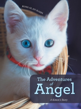 Hardcover The Adventures of Angel: A Kitten's Story Book