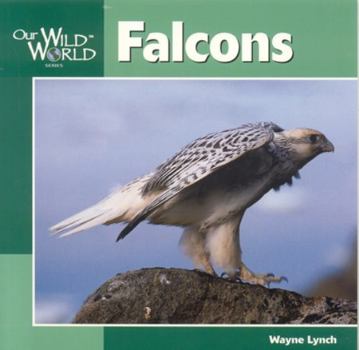 Hardcover Falcons Book