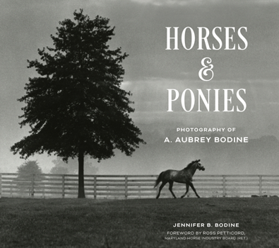 Horses and Ponies: Photography of A. Aubrey Bodine