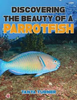 Paperback DISCOVERING THE BEAUTY OF A PARROTFISH Do Your Kids Know This?: A Children's Picture Book