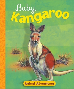 Hardcover Baby Kangaroo Book