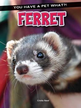 Ferret - Book  of the You Have a Pet What?!
