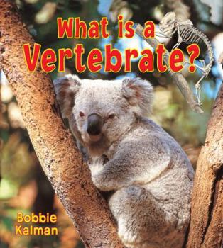 Library Binding What Is a Vertebrate? Book