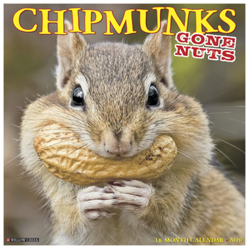 Calendar Chipmunks (Gone Nuts!) 2020 Wall Calendar Book