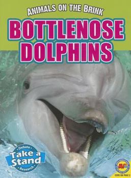 Paperback Bottlenose Dolphins Book