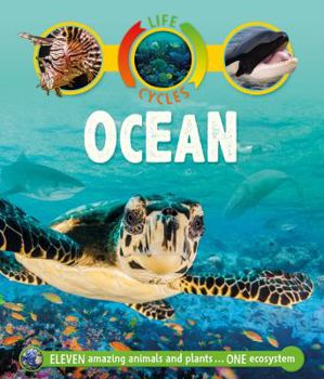 Hardcover Life Cycles: Ocean Book