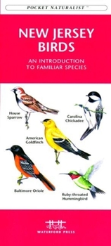 Paperback Caribbean Birds: An Introduction to Familiar Species Book