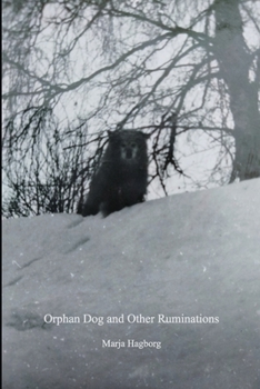 Paperback Chiron Review #131 Fall 2023: Orphan Dog and Other Ruminations Book
