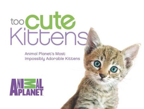Hardcover Too Cute Kittens: Animal Planet's Most Impossibly Adorable Kittens Book