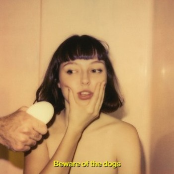Vinyl Beware Of The Dogs Book