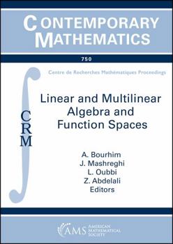 Linear and Multilinear Algebra and Function Spaces
