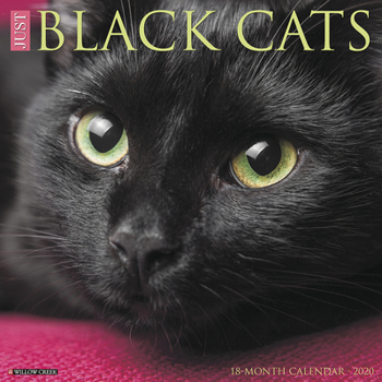 Calendar Just Black Cats 2020 Wall Calendar Book